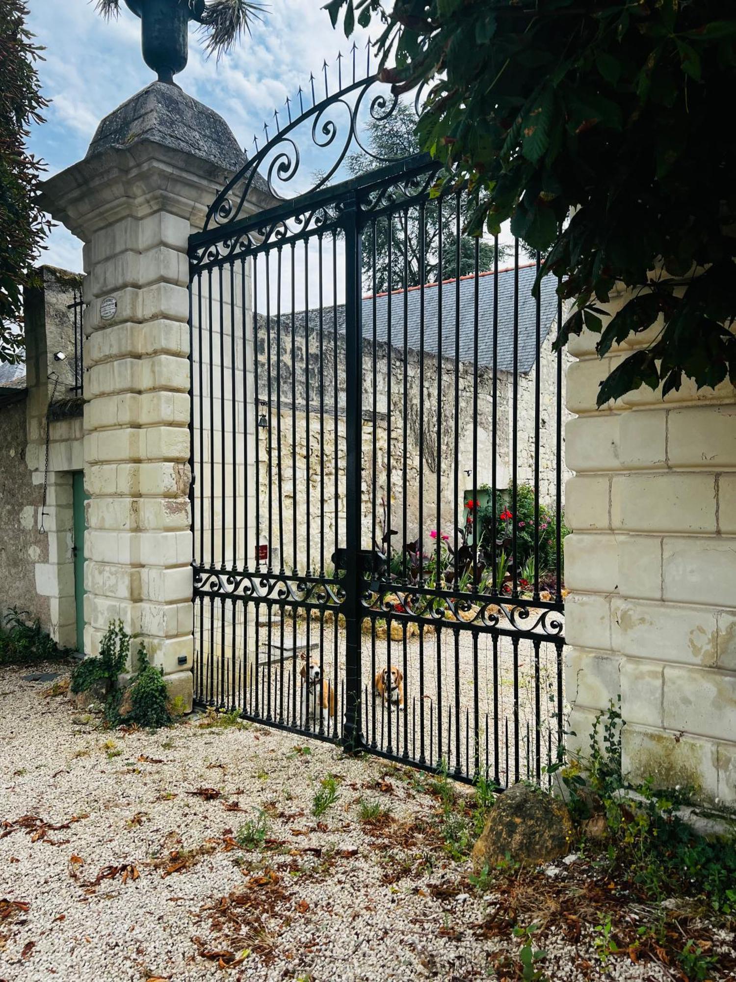 Chateau De La Thibaudiere Bois Savary - Chambre Familiale Du Roi Allonnes  Esterno foto